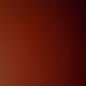 Meet your Posher, Celine